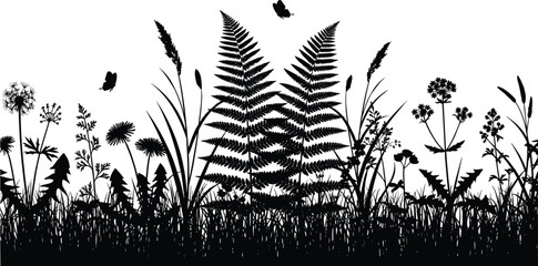 Wild meadow grass and fern silhouette landscape, black and white vector illustration with butterflies and blooming plants isolated on light background © LITON WORLD
