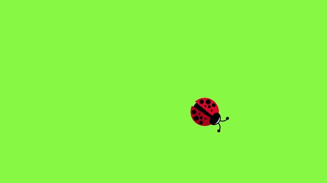 Cartoon ladybug with big eyes and black spots on red wings