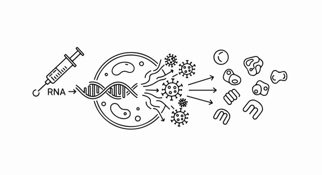 Medical illustration of RNA sequence influencing cell and virus interaction
