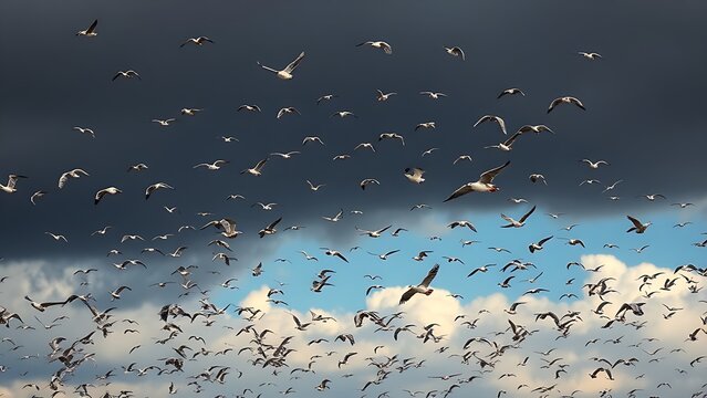 A Simple Example of Flock Coordination