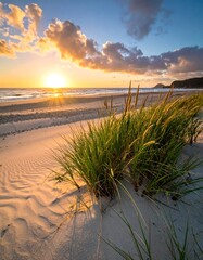 Coastal dune grass graces a sandy beach at sunset, with sun and cloudscape creating a serene, natural setting