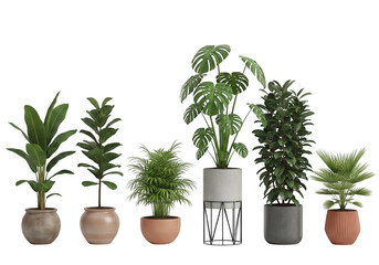 Obraz premium Collection of six different potted plants with various leafy greens isolated on transparent background