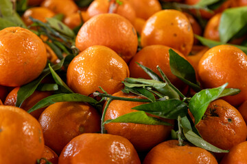 tangerines on a market