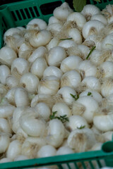 fresh white onions in green crate closeup
