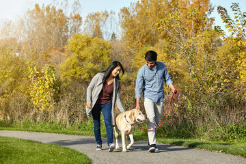 Fototapeta premium Dog, walk and couple in park with trust, animal care or bonding together in weekend activity. Smile, love and people in nature with security, connection and outdoor stroll with puppy companion.