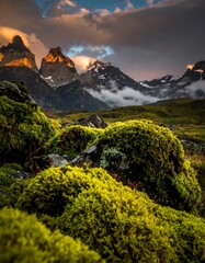Dramatic mountains rise behind mossy rocks under a cloudy, golden sky in a stunning landscape photograph