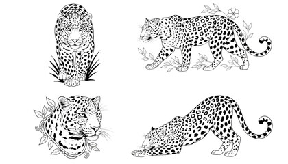 Majestic Leopard Line Art Illustrations. Wild Feline Outline Drawings for Graphic Design, T-shirts, Logos, Branding.