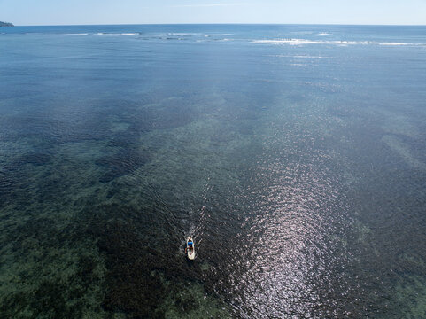 Aerial view male surfer paddling longboard in from the surf in Hawaii