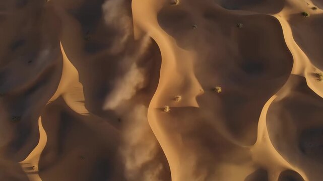 Aerial view of sweeping sand dunes with soft ripples and sparse shrubs, warm golden light and flowing contours, wind patterns visible