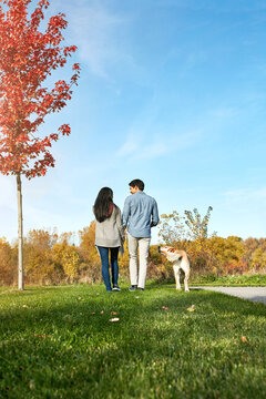 Autumn, back and walking dog with couple in park together for animal care, bonding or break. Holding hands, leash training or path with people and pet outdoor in nature for loyalty or relationship