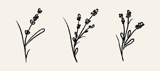 Grunge lavender flower collection. Chalk brush spring florals. Crayon wildflower sketches in doodle style. Hand drawn black charcoal plants for tattoo, poster, scrapbooking. Isolated vector illustrati © Ellen7