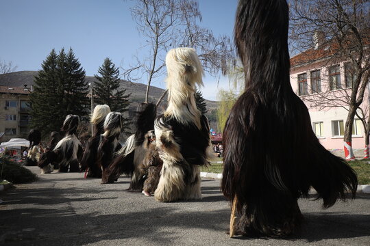 Zemen, Bulgaria - March 15, 2025: Masquerade festival Surva in Zemen, Bulgaria. People with mask called Kukeri dance and perform to scare the evil spirits.