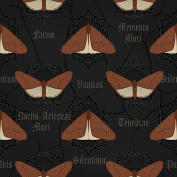 Seamless pattern gothic moths and Memento Mori Vanitas Latin quotes, vector eps 10