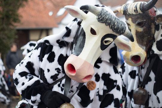 Cow costumes with wooden masks during the Swabian-Alemannic carnival ("Schw&auml;bisch-Alemannische Fasnet") at a parade at Hirschau near Tuebingen, Baden-Wuerttemberg