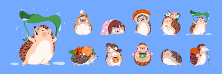 Set of cute hedgehogs. Kawaii characters of forest with needles and happy faces. Funny prickly animals sleep, drink, hide from rain, have a rest and smile. Flat isolated vector illustrations © Paper Trident