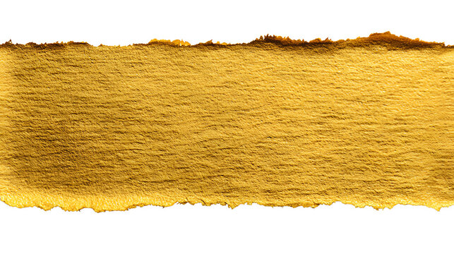 Vintage parchment paper with rough burned edges isolated on transparent background