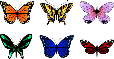 Detailed Vector Butterfly Collection: Realistic Monarch, Swallowtail, and Exotic Species Set for Nature-Inspired Design, Butterfly textures © Anastasija Dracova