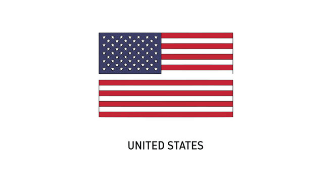 Vector illustration of the United States flag with country name label