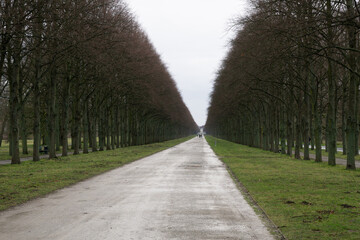 Fototapeta premium Allee Hannover