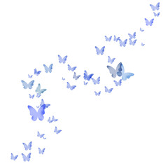 Fototapeta premium Colorful Flying Butterflies PNG Transparent Illustration