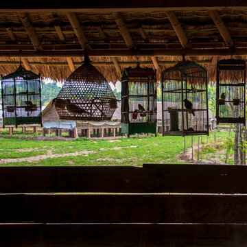 Birdcages In A House, Mataram, Lombok Island, Indonesia