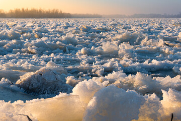 Kra na Wiśle © Dejan Gospodarek