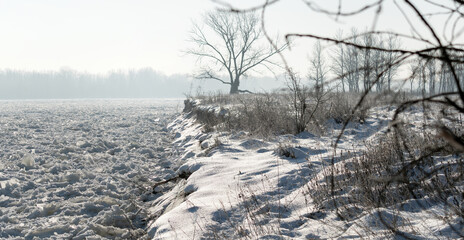 Na brzegu zamarzniętej Wisły © Dejan Gospodarek