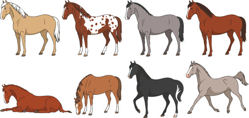 Obraz premium Horse Character Illustration Set with Different Poses Breeds and Farm Animals