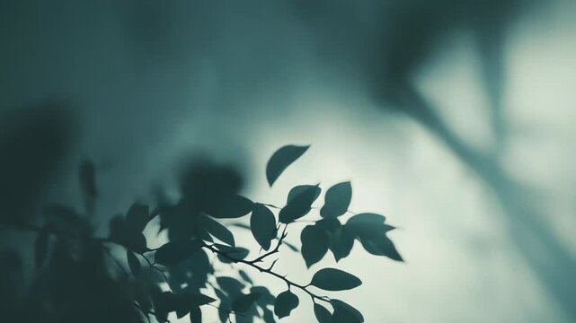 Lush green foliage branches are diffusing soft light, creating serene shadow patterns on a subtle teal background, evoking natural tranquility and gentle growth