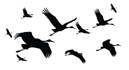 A flock of birds in flight against a white background silhouette