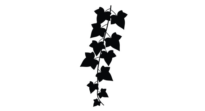 A cascading ivy vine displayed as a striking black silhouette