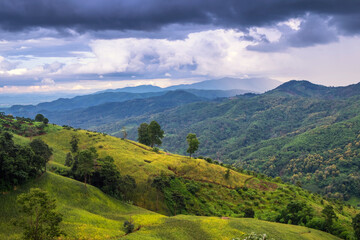 Obraz premium mountain landscape with green grass