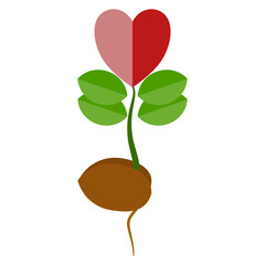 vector illustration of a heart-shaped plant blooming from a seed. 