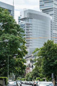 Modern Frankfurt city skyline with urban street greenery and office architecture showing sustainability across a contemporary financial district