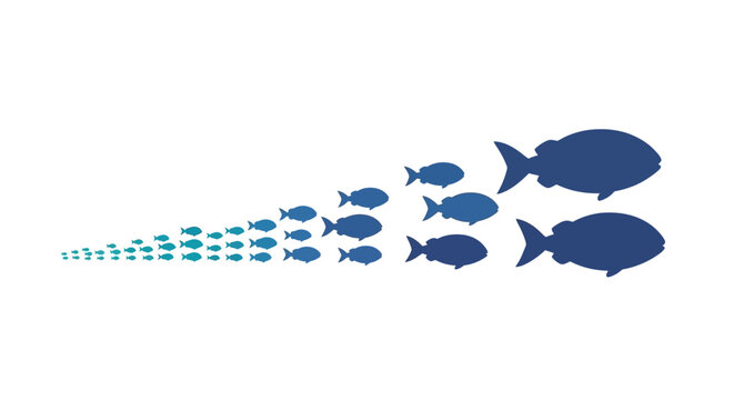 School of Blue Fish.