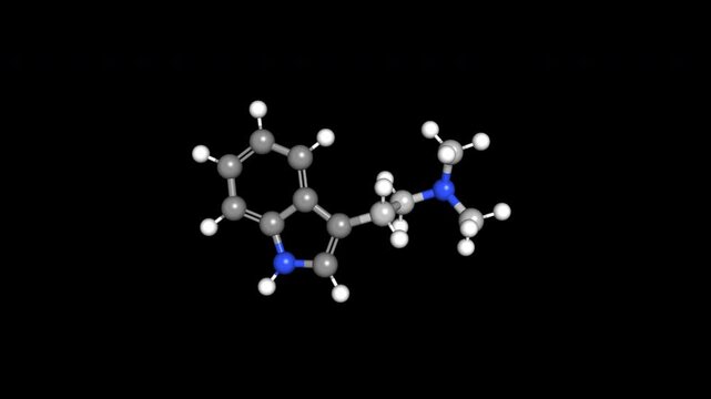 DMT Molecule 3D Model 4K Alpha Loop Chemical Structure