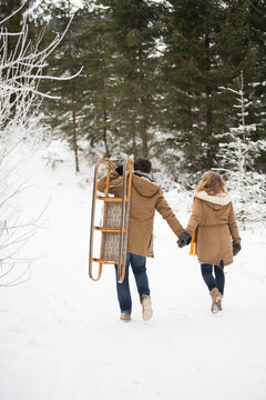 Back view of young couple with sledge in winter forest
