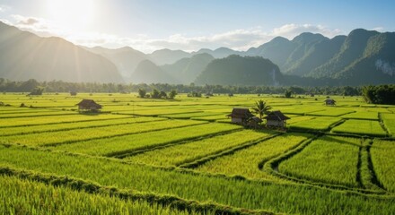 Fototapeta premium Sunlit rice paddies, huts, and mountains create a picturesque landscape