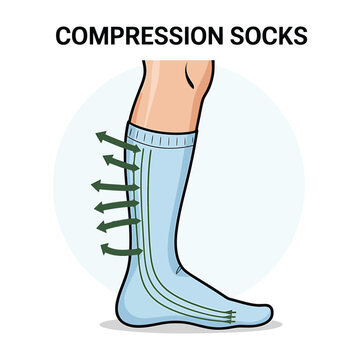 Illustration depicting compression socks on a leg showing improved circulation
