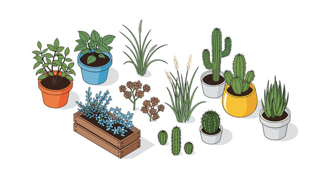 Extensive collection of potted indoor plants and desert cacti adds a natural touch to any interior design project.
