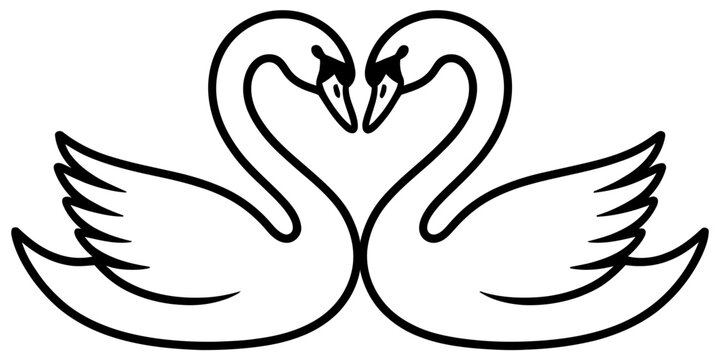 Black and white illustration of two swans facing each other with necks forming a heart shape