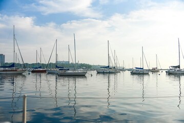 boats in the harbor