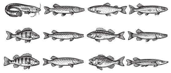 Black and white vector pattern featuring different fish types. Use for fishing themed designs, restaurant menus, textiles, and educational materials.