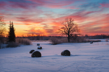 sunset in the winter