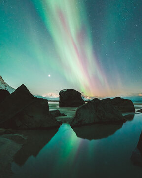 View of the aurora borealis dances across the night sky, reflected in the still water among the dark, rugged rocks on the beach, Ramberg, Nordland, Norway.