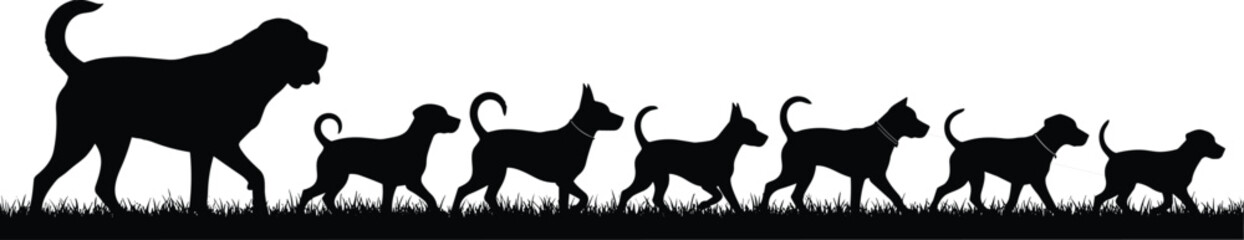 Panoramic vector silhouette illustration of a large dog leading a diverse pack of smaller dogs walking in a line through grass on white background.