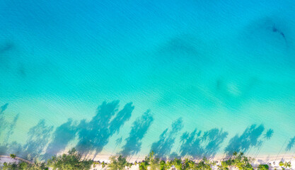 Fototapeta premium Aerial top view of turquoise sea water and white sand beach with beautiful coconut palm tree shadows. Tropical summer vacation and luxury travel .beach sand background for summer vacation concept