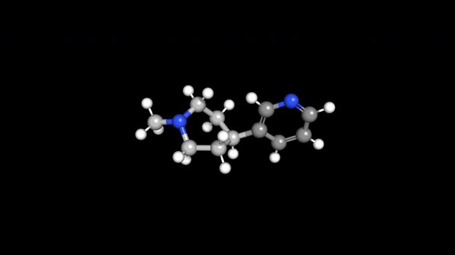 Nicotine Molecule 3D Model 4K Alpha Loop Chemical Structure