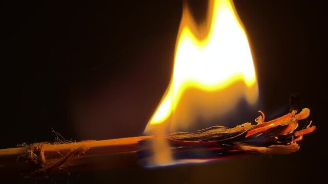 A bundle of wax-coated wooden splinters ignites into a bright, steady flame against a dark background. The burning wood and melting wax crackle and hiss merrily as they combust.