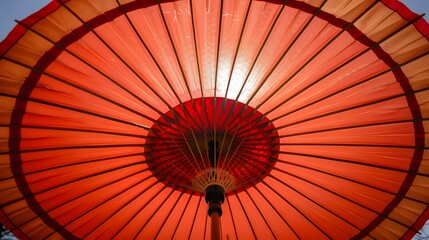 和傘の内側から見上げる竹骨構造